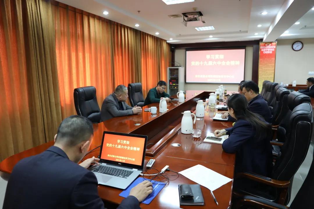 泰安發(fā)展公司黨委理論學(xué)習(xí)中心組集體學(xué)習(xí)研討黨的十九屆六中全會(huì)精神